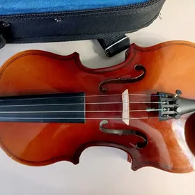 Skripka/Скрипка