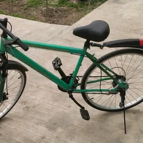 tigir obmen bar telefon