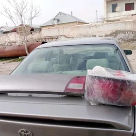 samsyk kemri 1996  fara yzky