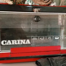 електропечь carina