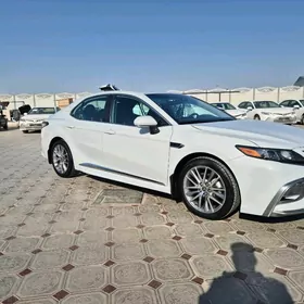 Toyota Camry 2022