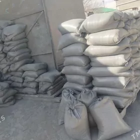 HALTALY SEMENT DERS MITI GUM