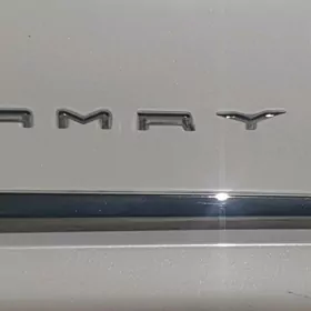 "CAMRY"-ýazgy gapy nakleýka