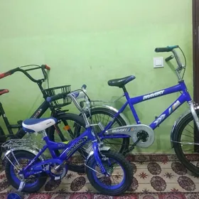 Tigir 12-20lik Amatly