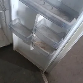 halodilnik zapcas üçin