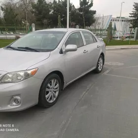 Toyota Corolla 2010