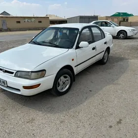 Toyota Corolla 1993