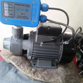 suv nasos SHIMGA80lykvakumli b