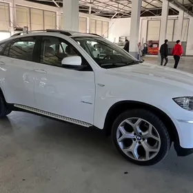 BMW X6 2010