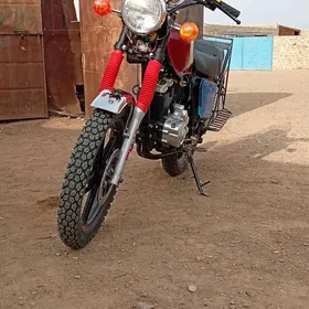 Fekon FK200-14G 2026