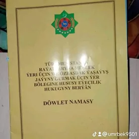 Suroçny satlyk uçaska satylýar