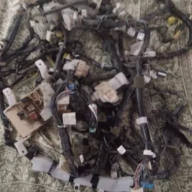 Duty awalon tarpeda grut tok