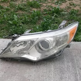 2012 Palta fara sag tarap