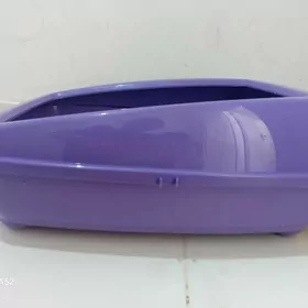 Pisigin aksesuarlary