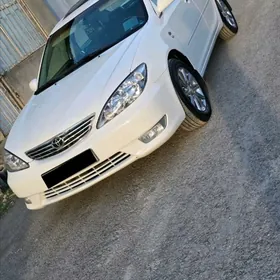 Grant diska komplekit