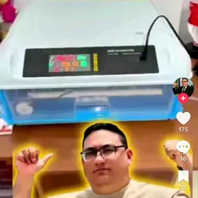 inkubatyr 106 yumurtgalyk