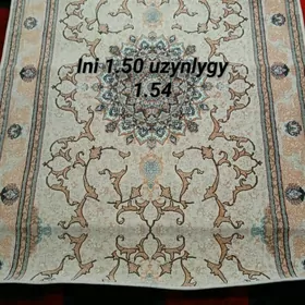 Haly gapylyk tazeje duselmedik