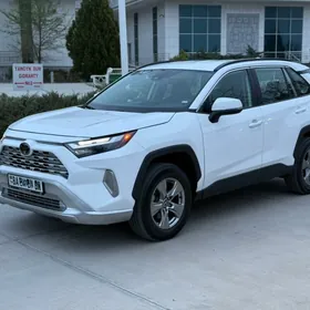 Toyota RAV4 2023