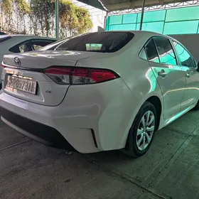 Toyota Corolla 2024