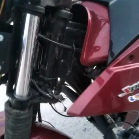 Fekon FK200-14G 2023