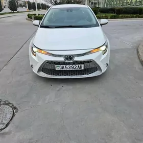 Toyota Corolla 2021