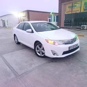Toyota Camry 2013