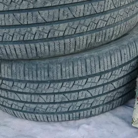 Hilo 245.55.19 haylandr 2023 y