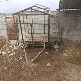 Prisep Polprisep 2023