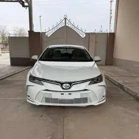 Toyota Corolla 2022