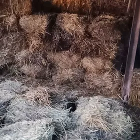 мал оты бугдай саман