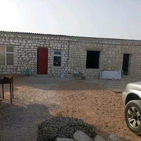 Guwlymayakda TM jaÿ