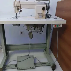 Gemsy we hytay tikin masyn