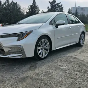 Toyota Corolla 2019