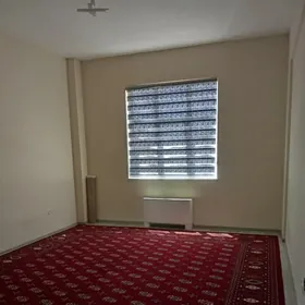 Anew Magtymguly elitga