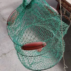 balyk salynýan sadok