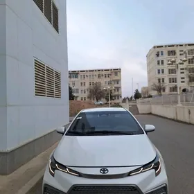 Toyota Corolla 2024