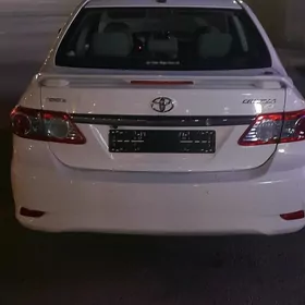 12 corollo bagaz obmen