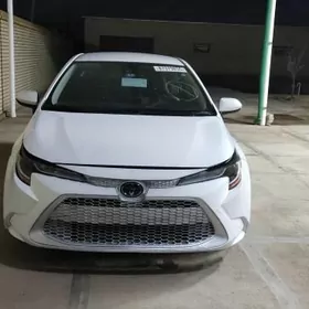Toyota Corolla 2021