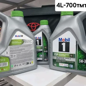 Motor yaglary (моторное масло) 5w-30