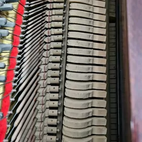 fortepiano , pianino