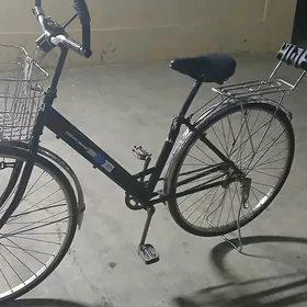 T I G I R. YAPOSKA......