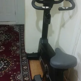 welotrenajor professionalny