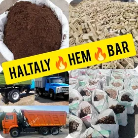 MITI DERS SEMENT GRAMASSA GUM