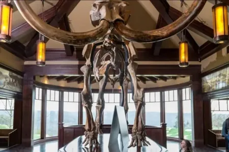 ABŞ-da muzeýe gelenler 10 müň ýyllyk mamontyň gyýagyny döwdüler