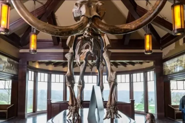 ABŞ-da muzeýe gelenler 10 müň ýyllyk mamontyň gyýagyny döwdüler