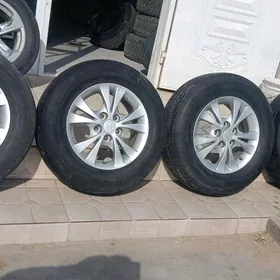 15lik diska pakriska