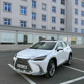 Lexus NX 350 2022