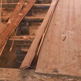 POL AGAÇ ŞYPYR ALÝAS PILIMUT