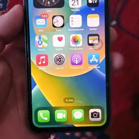 iphone xs 12 pro owirlen