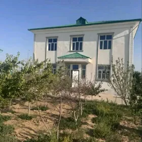 Taze Zaman kotteź 2 tapgyr